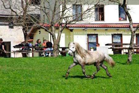 Turistična kmetija Abram 1